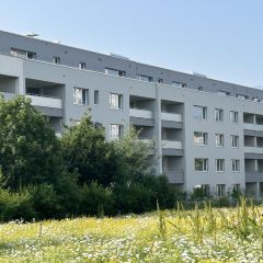 A LOUER |  Appartements neufs