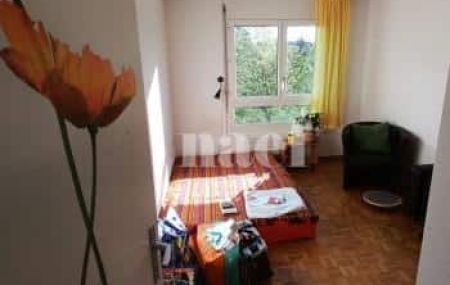 Appartement 5 pièces - Chemin des Troënes 11 Petit-Lancy