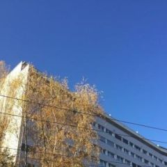 Appartement 5 pièces - Rue de Moillebeau 57 Genève