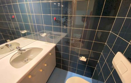 Appartement de 5 pièces avec balcons à Malagnou