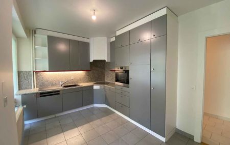 Appartement de 5 pièces avec balcons à Malagnou