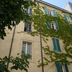 Appartement 1 pièce  | Eaux-Vives