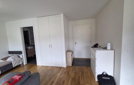 Spacieux logement de 1,5 pièce au 3ème étage