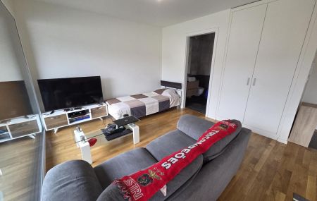 Spacieux logement de 1,5 pièce au 3ème étage