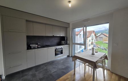 Spacieux logement de 1,5 pièce au 3ème étage