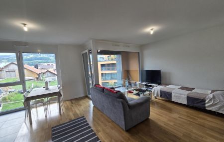 Spacieux logement de 1,5 pièce au 3ème étage