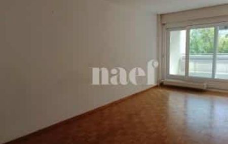 Appartement 4.5 pièces - Rue de Moillebeau 55 Genève