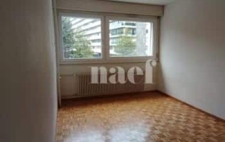 Appartement 4.5 pièces - Rue de Moillebeau 55 Genève