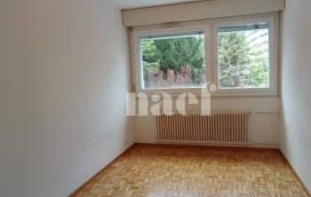 Appartement 4.5 pièces - Rue de Moillebeau 55 Genève