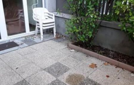 Appartement 2 pièces - Rue des Contamines 31 Genève