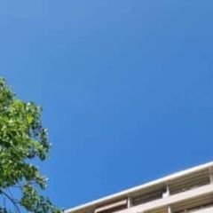Appartement 1 pièce - Rue du Vidollet 19 Genève