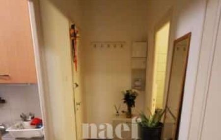 Appartement 1 pièce - Rue du Vidollet 19 Genève