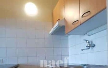 Appartement 1 pièce - Rue du Vidollet 21 Genève