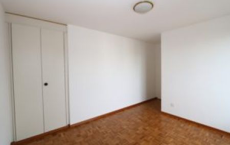 Appartement de 5 pièces en attique avec mezzanine et terrasse à Thônex