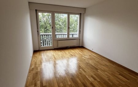 Bel appartement de 4 pièces à Champel avec vue sur…