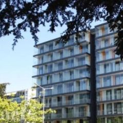 Appartement 4 pièces - Avenue Eugène-Pittard 19 Genève