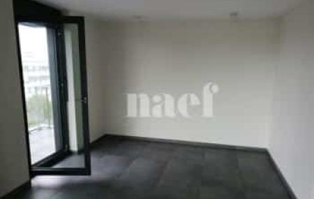 Appartement 4 pièces - Avenue Eugène-Pittard 19 Genève