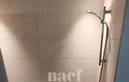 Appartement 4 pièces - Avenue Eugène-Pittard 19 Genève