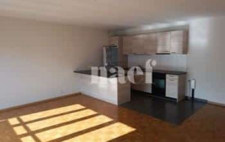Appartement 4 pièces - Rue Liotard 79 Genève