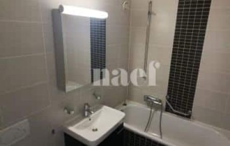 Appartement 4 pièces - Rue Liotard 79 Genève