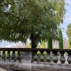 Magnifique appartement de 2.5 pièces Vieille-Ville Magnifique appartement de 2.5 pièces Vieille-Ville