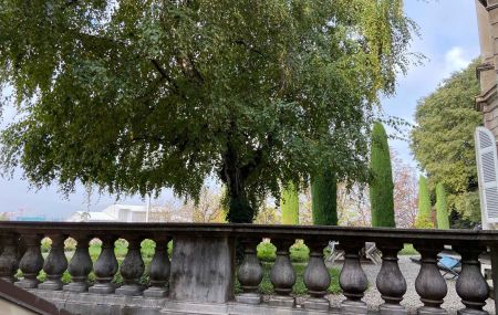 Magnifique appartement de 2.5 pièces Vieille-Ville