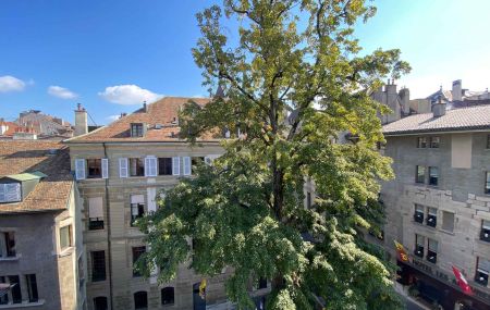 Magnifique appartement de 6 pièces à la Vieille Ville avec échappée sur le lac