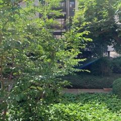 Appartement de 3 pièces au 2ème étage donnant sur un square agréablement végétalisé, idéalement situé proche des parcs, du bord du Lac et de toutes commodités.
