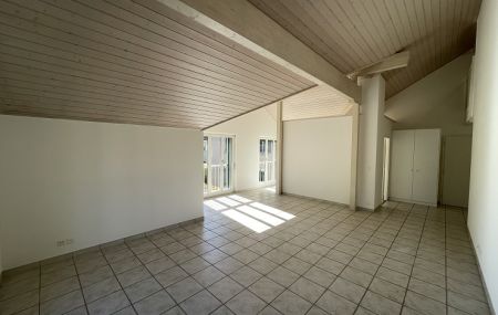 Charmant duplex à Puplinge, dans la campagne genevoise