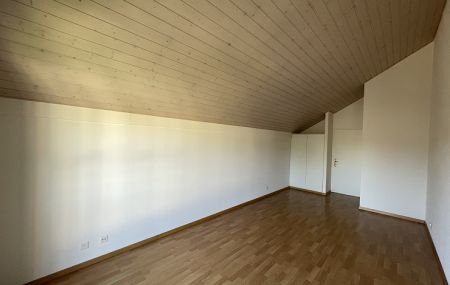 Charmant duplex à Puplinge, dans la campagne genevoise