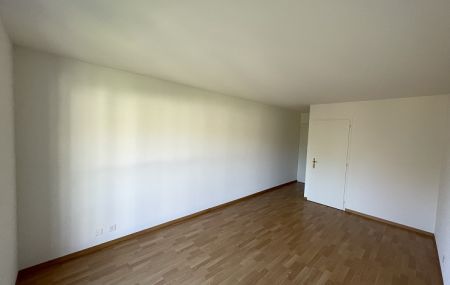 Charmant duplex à Puplinge, dans la campagne genevoise