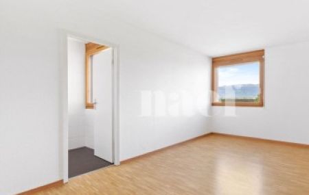 Appartement 6 pièces - Route de Ferney 218 Le Grand-Saconnex