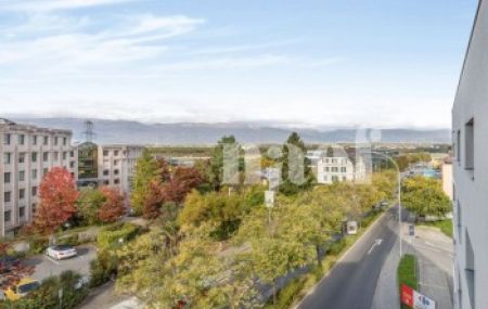 Appartement 6 pièces - Route de Ferney 218 Le Grand-Saconnex