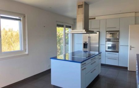 Magnifique appartement de 7 pièces en attique avec terrasse au Grand-Lancy