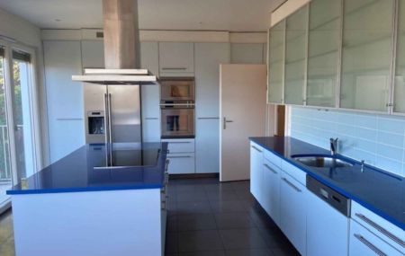 Magnifique appartement de 7 pièces en attique avec terrasse au Grand-Lancy