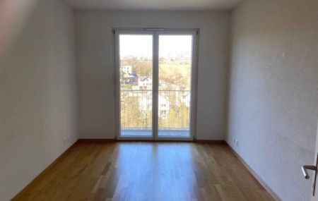 Magnifique appartement de 7 pièces en attique avec terrasse au Grand-Lancy