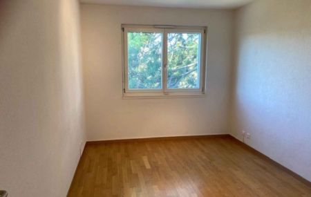 Magnifique appartement de 7 pièces en attique avec terrasse au Grand-Lancy