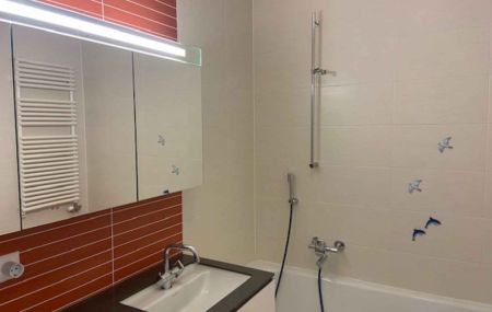 Magnifique appartement de 7 pièces en attique avec terrasse au Grand-Lancy