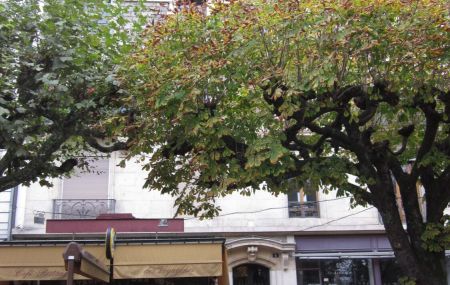 Gare des Eaux-Vives, Appartement de 2 pièces à louer