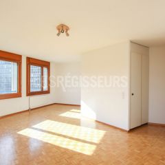 Genève - 1 pièces - 49 m2
