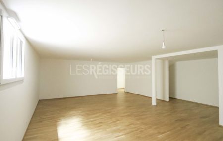 Grand-Lancy - 6 pièces - 252 m2