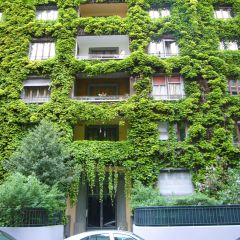 Appartement 4.5 pièces  | Florissant