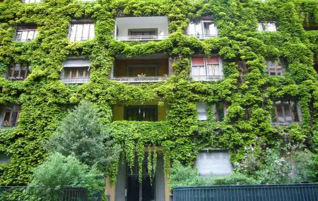 Appartement 4.5 pièces  | Florissant