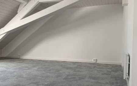 STUDIO DANS LES COMBLES