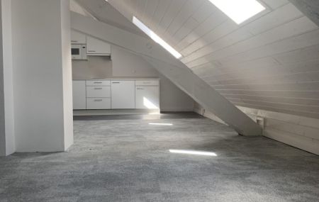 STUDIO DANS LES COMBLES