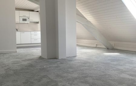 STUDIO DANS LES COMBLES