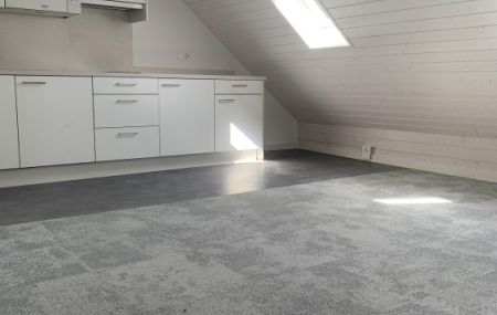 STUDIO DANS LES COMBLES