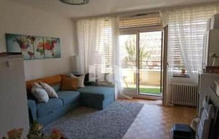 Appartement 1 pièce - Rue du Vidollet 21 Genève