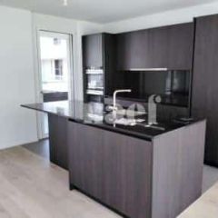 Appartement 4 pièces - Chemin Jeanne-Lavergnat 18 Troinex