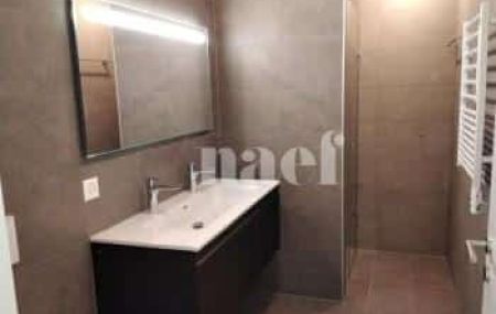 Appartement 4 pièces - Chemin Jeanne-Lavergnat 18 Troinex